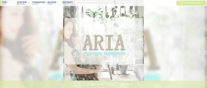 Aria